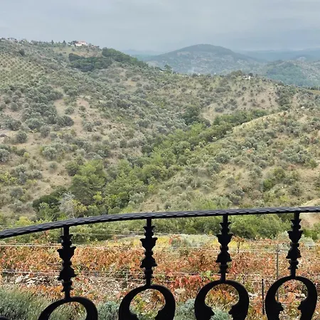 Ayda Bağları Winery&vineyards *