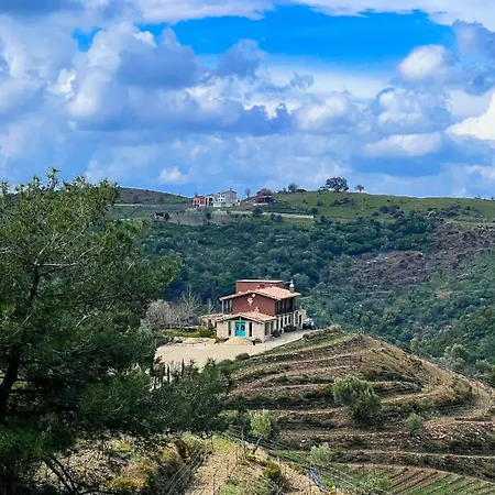 Ayda Bağları Winery&vineyards