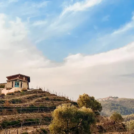 Ayda Bağları Winery&vineyards * Seferihisar